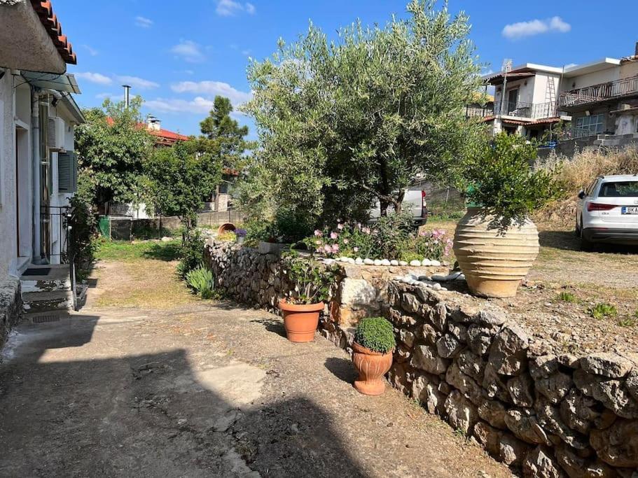 Guesthouse Simou With View 3 Bedrooms Arachova Extérieur photo